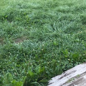 Meet your Posher, Tracie